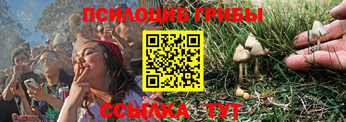 Псилоцибиновые грибы Magic Shrooms Кириши