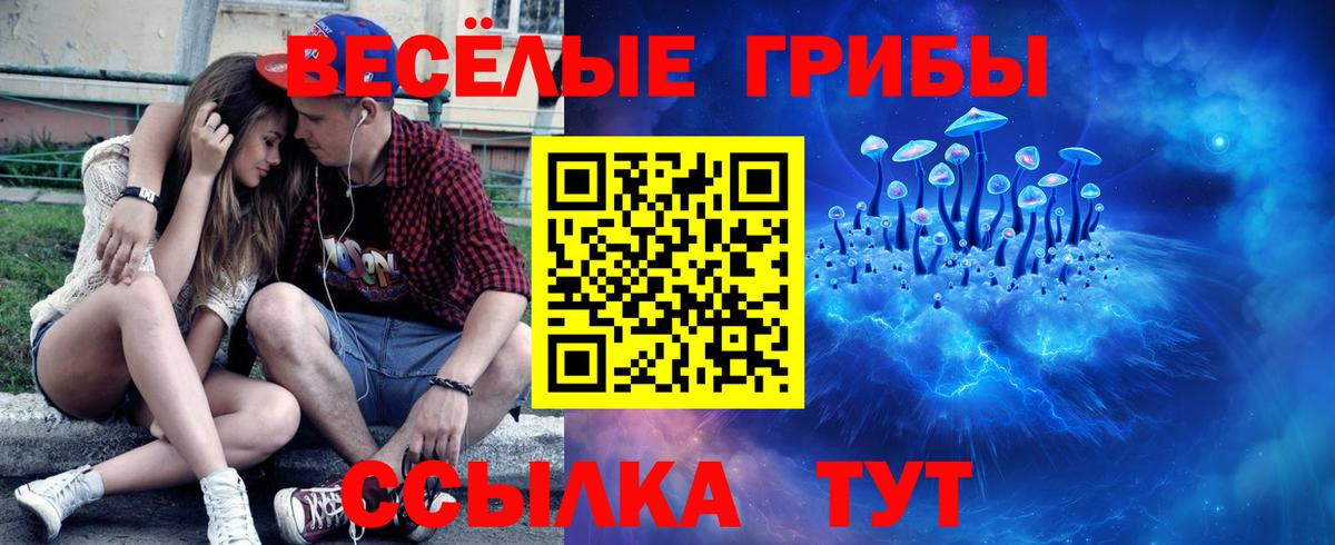 Галлюциногенные грибы MAGIC MUSHROOMS  Псилоцибиновые грибы мухоморы  Кириши  наркошоп  Вход с VPN 